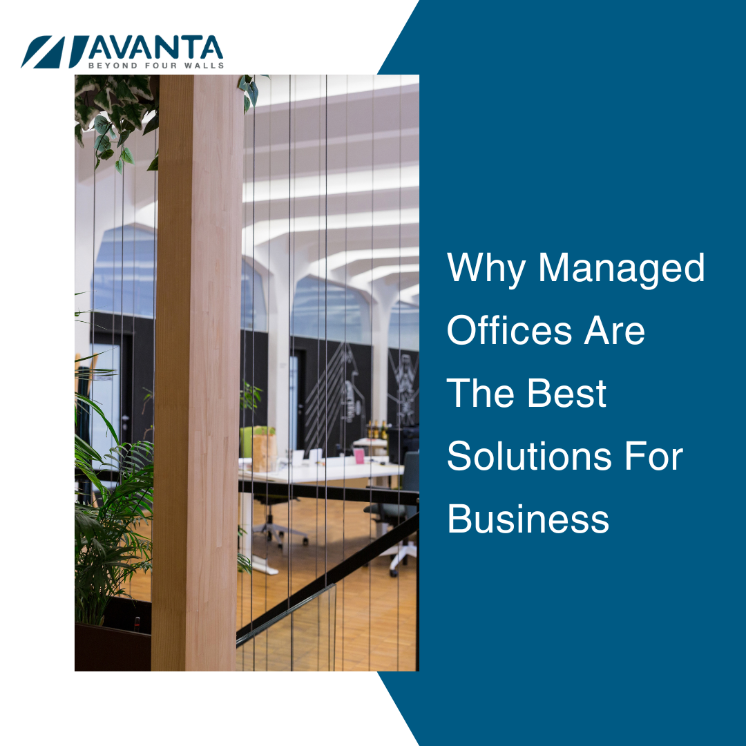 Why Managed Offices Are The Best Solutions For Business